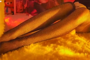 小米asmr 黑丝摩擦